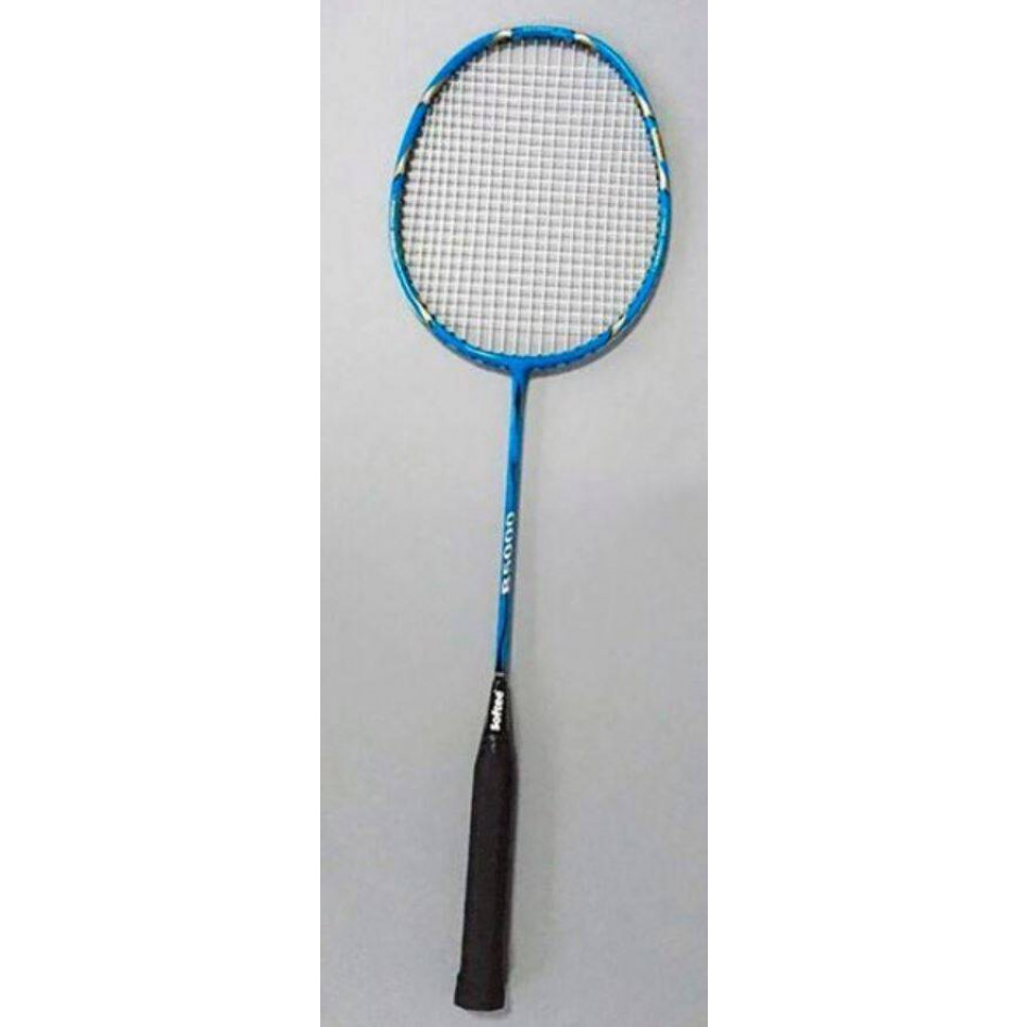 Lote de 10 Raquetas Badminton B500 (Jr-Sr) - Tienda online de