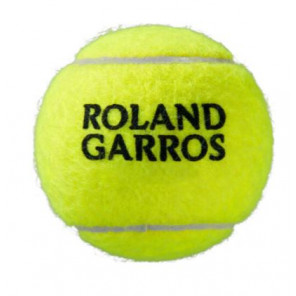 Pelotas Tenis Wilson Roland Garros Clay Bote 4 Pelotas