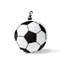 DAC2930-1x-04.webp