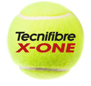 pelota
