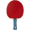 DAb1568-3.webp