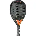 DAC1539-2.webp