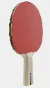 DAA9315-2.webp