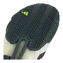 DAC1731-4.webp