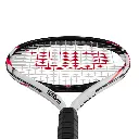 DAC2388-06.webp