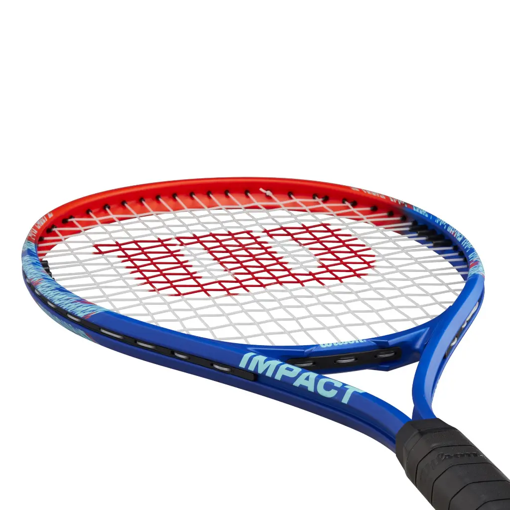 DAC1310-5.webp