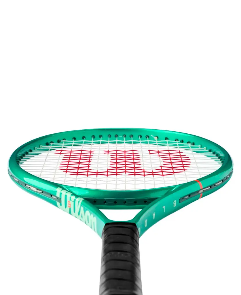 DAC2295-04.webp