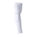 DAC2597-03.webp