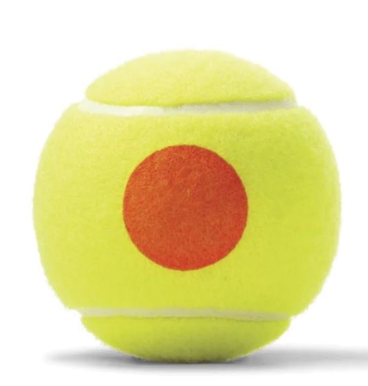 Pelotas Tenis Wilson Principiante Punto Naranja 48u