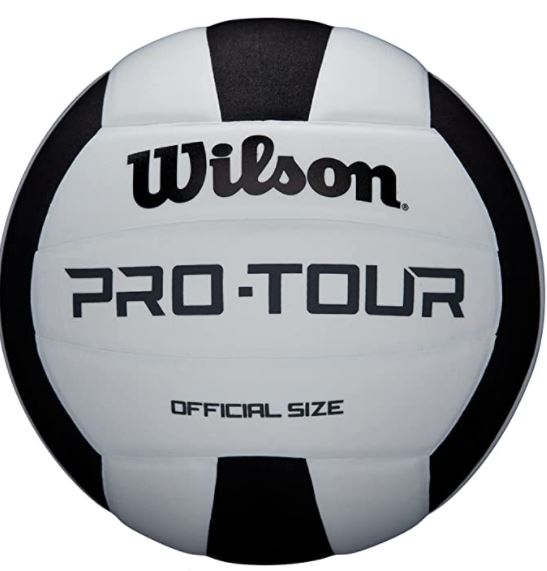 Balón Voleibol Wilson Pro Tour Talla 5