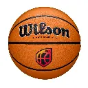 Balón Baloncesto Wilson EVO NXT Game Ball FEB