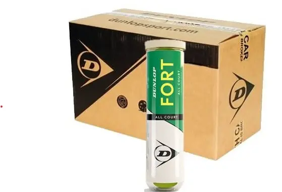 Pelotas Tenis Dunlop FORT ALL COURT B4 18 Botes de 4 pelotas