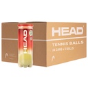 Pelotas Tenis Head Championship B3 24 Botes 3 pelotas