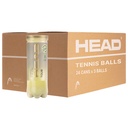 Pelotas Tenis Head TOUR B3 24 Botes de 3 pelotas
