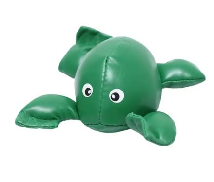 Juego escolar de la Rana