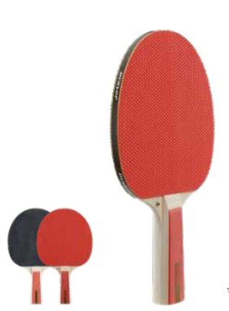 Pala Tenis Mesa Dunlop BT Nitro