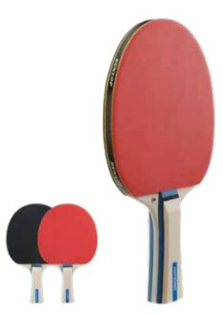 Pala Tenis Mesa Dunlop BT Rage