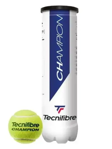[DAB1661-1D] Pelotas Tenis Tecnifibre Champion B4 1 Botes de 4