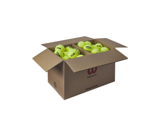 [DAD2277-1] Pelotas Tenis Wilson Triniti Club Caja 72 Pelotas