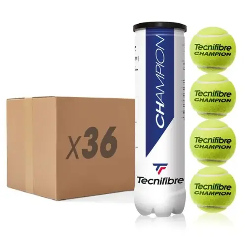 [DAB1661-K36] Pelotas Tenis Tecnifibre Champion B4 36 Botes de 4